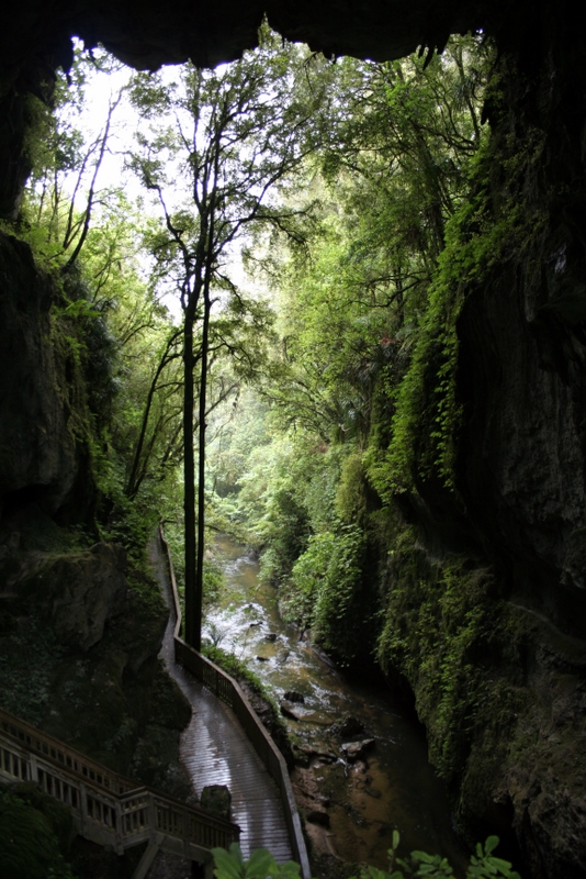 Mangapohue Natural Bridge